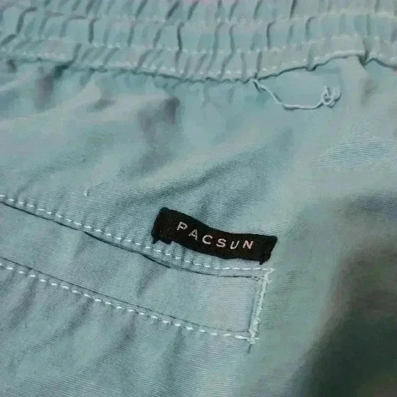 PacSun Small volley mens short NWOT - Picture 6 of 8